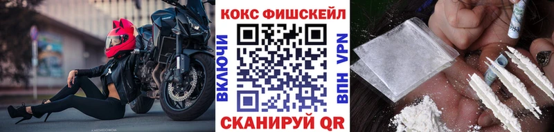 Купить где  Нерчинск  Cocaine 99% 