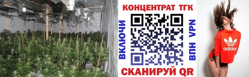 Дистиллят ТГК Wax  Купить где  Нерчинск 