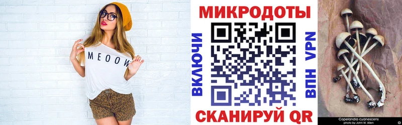 Купить где  Нерчинск  Галлюциногенные грибы GOLDEN TEACHER 